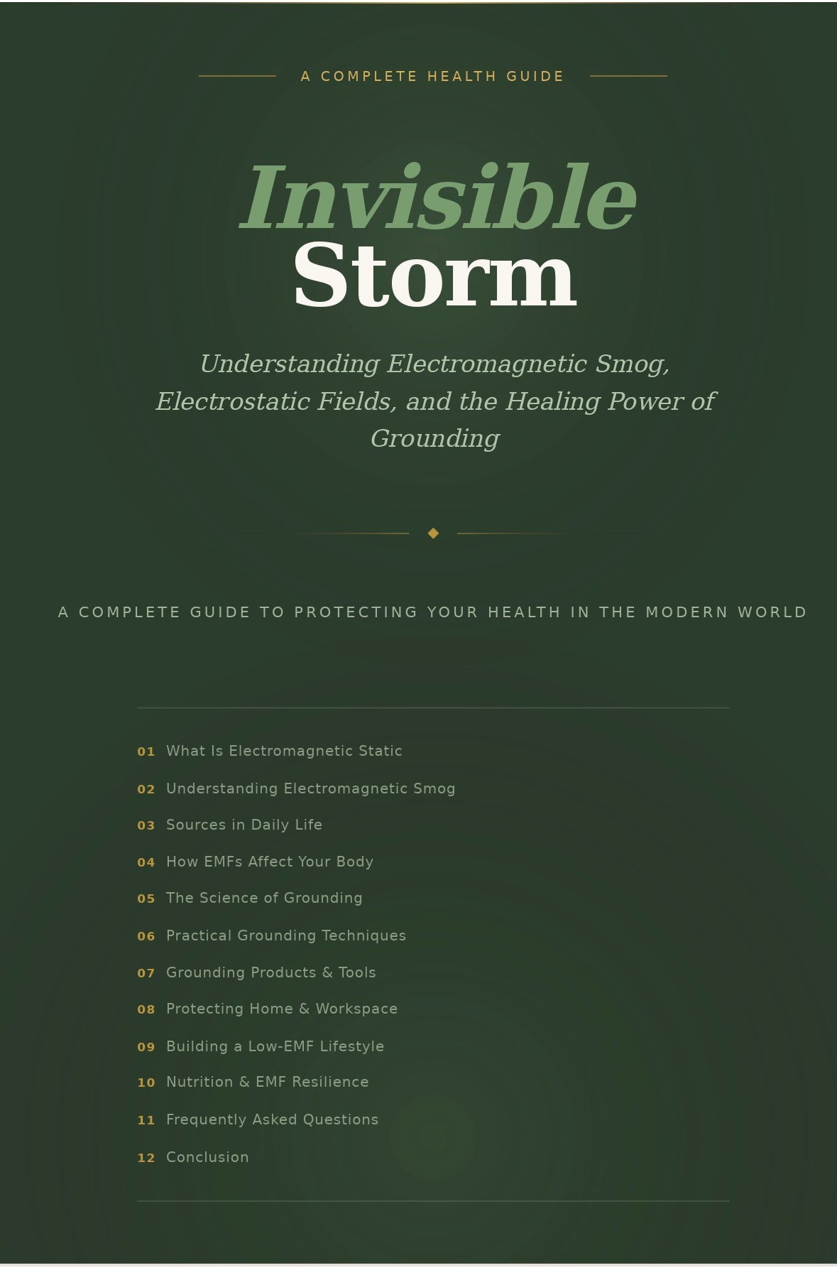 Invisible Storm : A Complete Guide To Protection Your Health In A Modern World